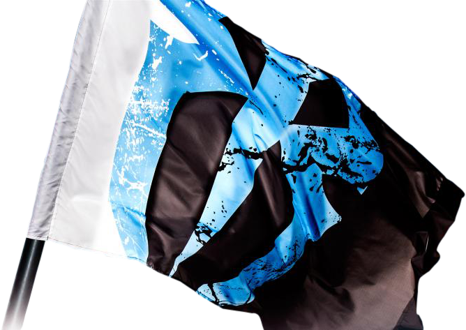 Suplexcity - Roman Reigns Flag Battleground (668x473), Png Download