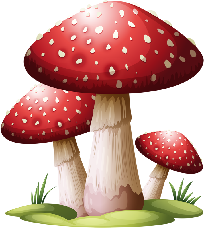 747 X 800 2 - Red Mushroom (747x800), Png Download