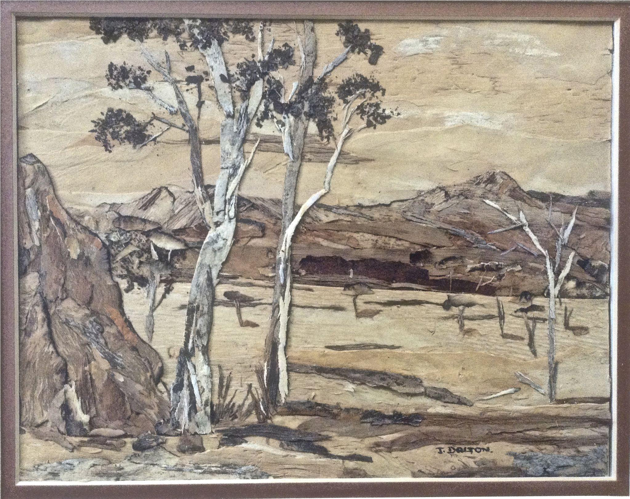 Dalton, Eucalyptus Trees In Australian Outback Wood (2048x2048), Png Download
