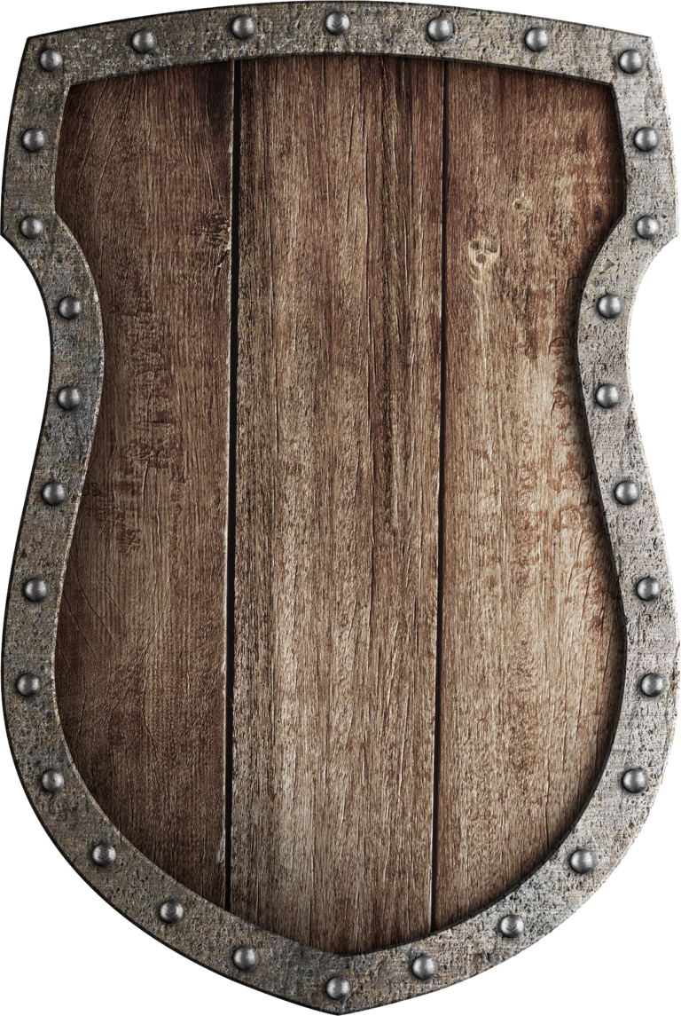 Wooden Shield - Wood Shield (768x1145), Png Download