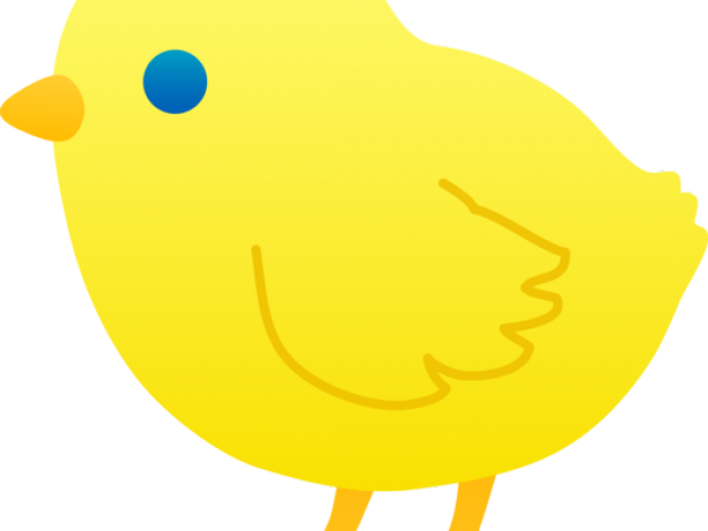 Baby Chicken Cartoon - Cartoon (640x480), Png Download