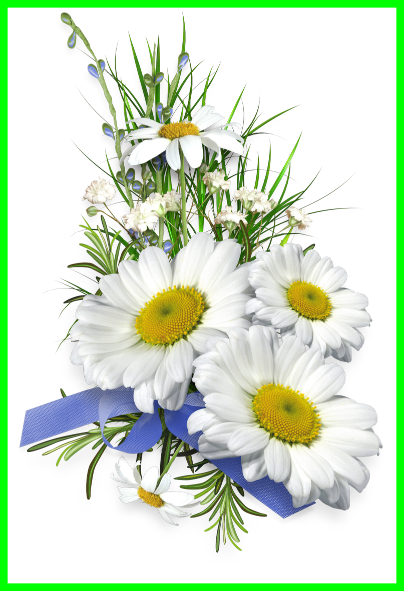 Aster Flower Clipart - Tube Bouquet De Marguerite Png (807x1182), Png Download