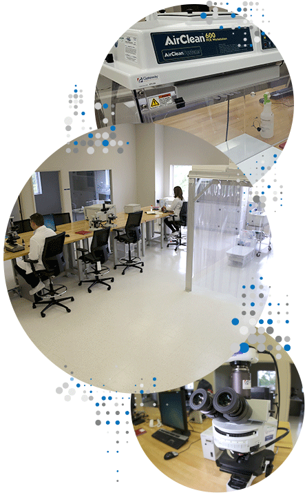 A State Of The Art Analytical Laboratory Deploying - Interior Design (443x718), Png Download