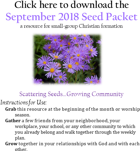 September-seeds - New York Aster (558x606), Png Download