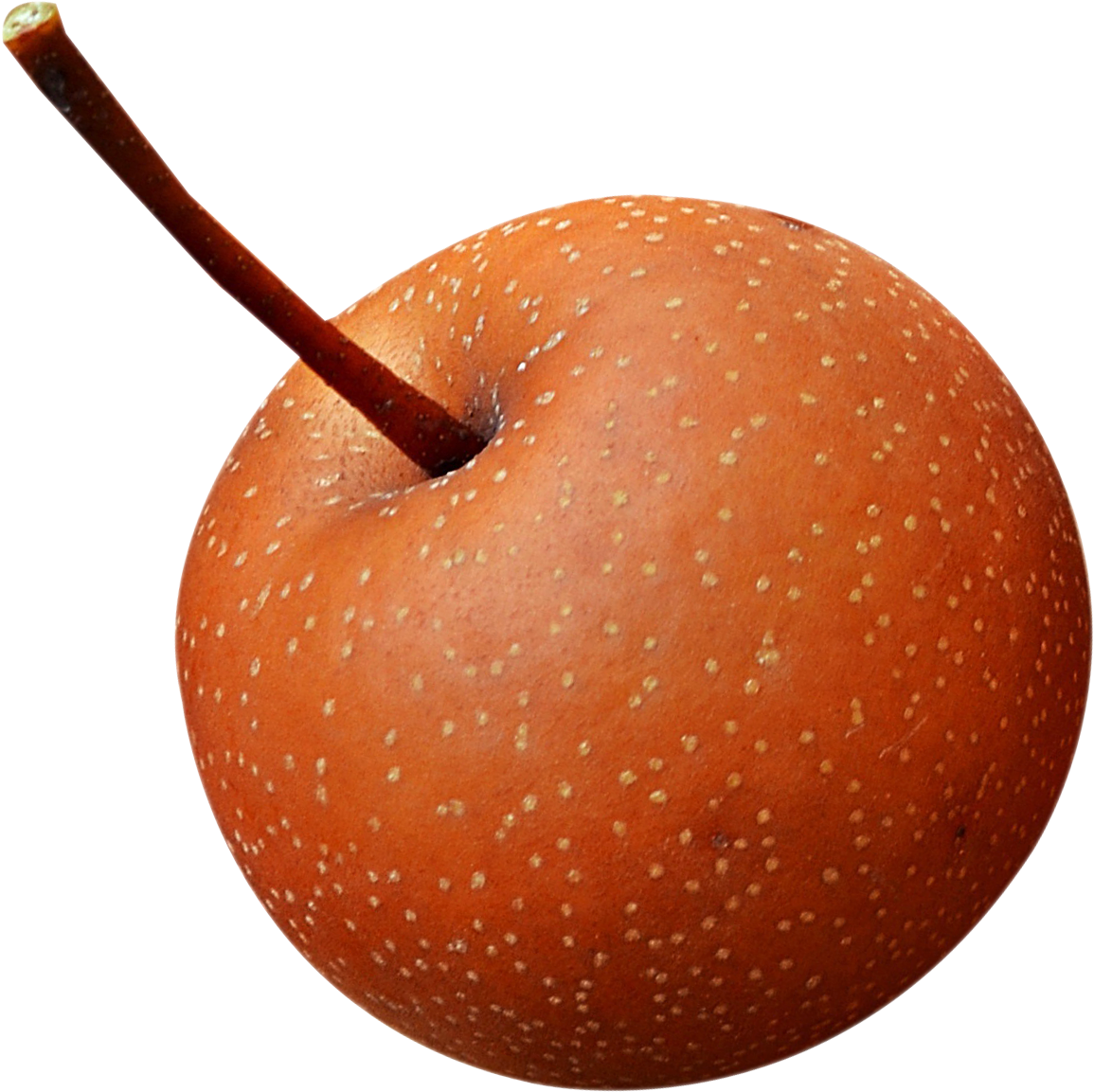 Download Fresh Asian Pear Png Image - Asian Pear Png (1256x1244), Png Download
