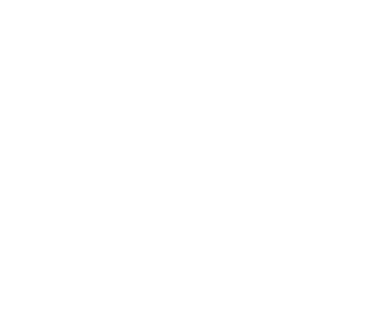 Free Png Download Shining Light Effect Clipart Png - Johns Hopkins Logo White (850x747), Png Download