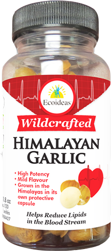 Eco 550 Wildcrafted Garlic Png - Ecoideas Himalayan Garlic 50g (600x600), Png Download