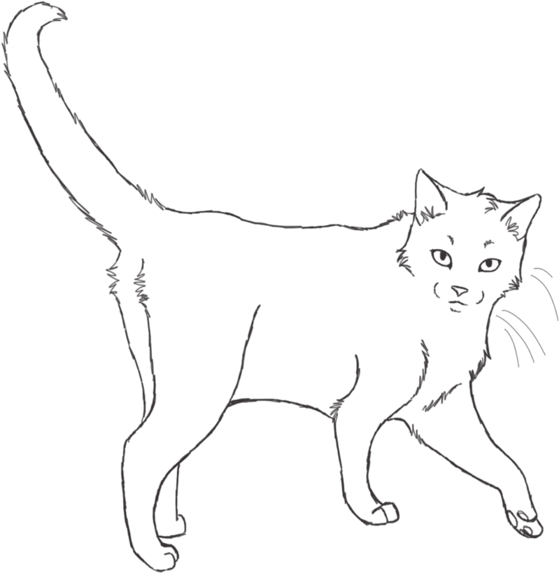 Realistic Cat Base - Cat (867x921), Png Download