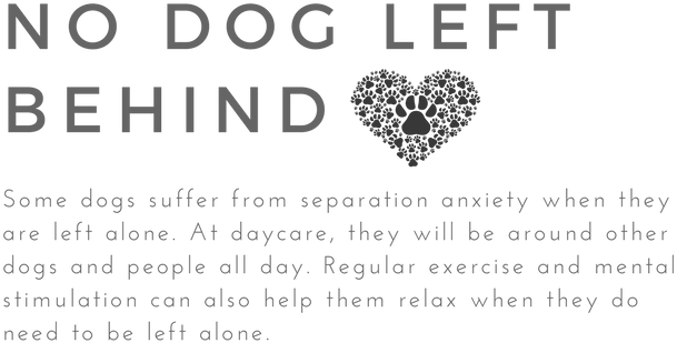 12 - 1ldk (800x800), Png Download