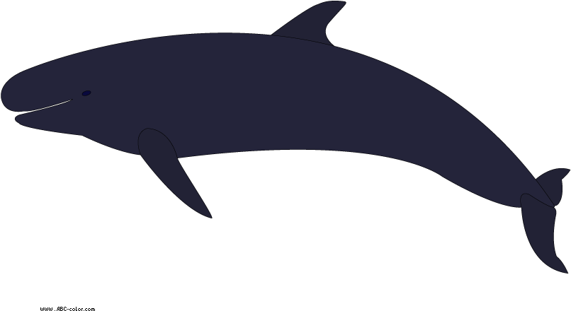 Download Bitmap Picture False Killer Whale - Whales (822x567), Png Download
