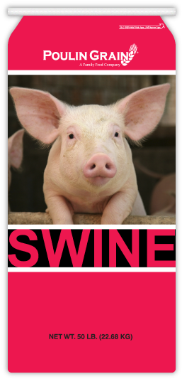 Pig Starter Crumblet - Cute Pig Throw Blanket (278x543), Png Download