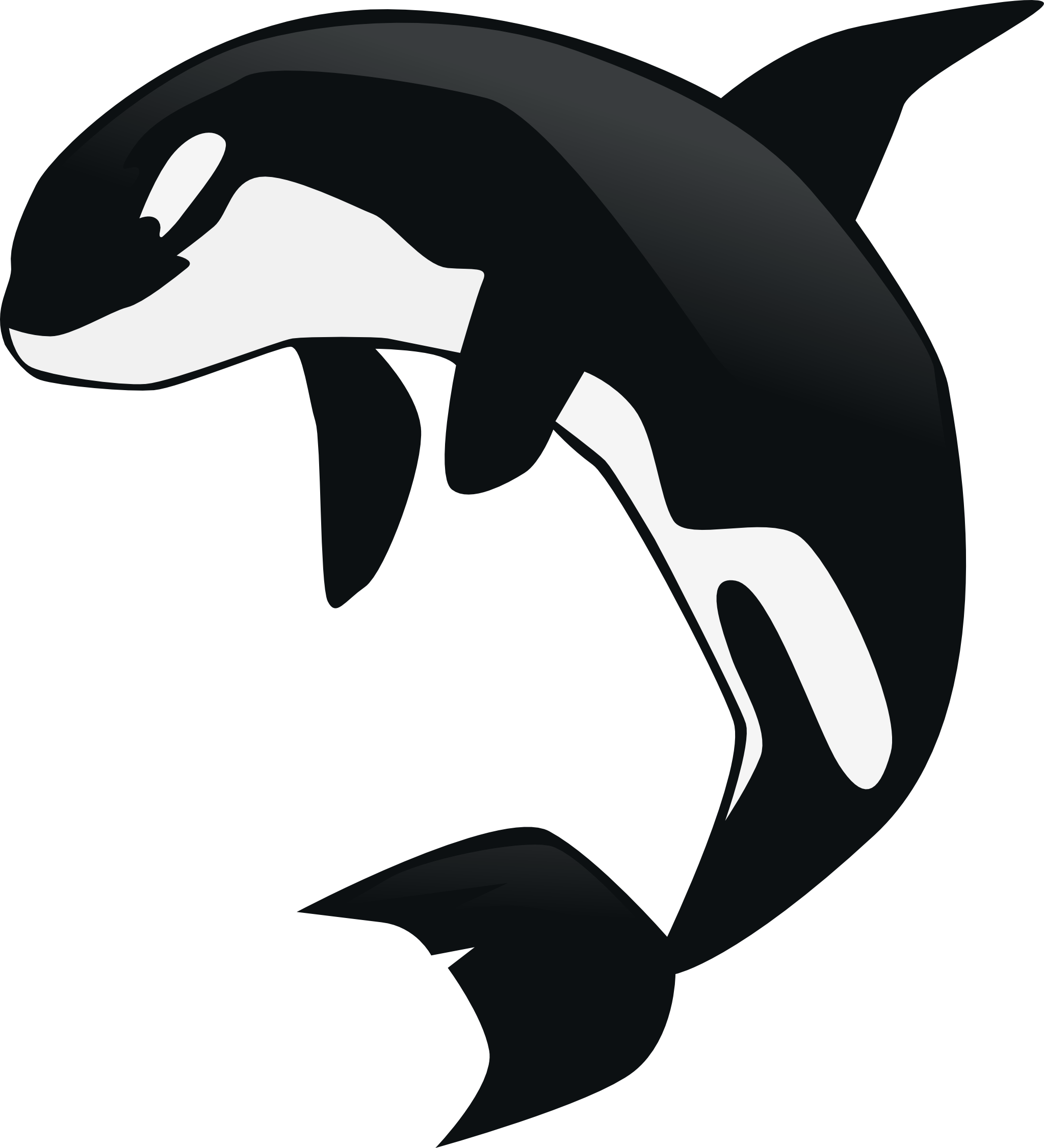Gnustep Orca 2048 - Orca Whale Clipart Transparent (2048x2251), Png Download