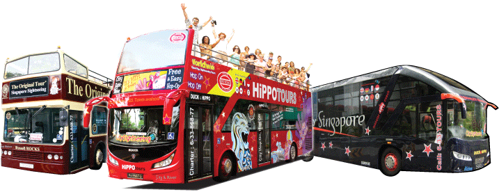 Our Coaches Are In Black And All Our Buses Have A Duck - Double-decker Bus (800x362), Png Download
