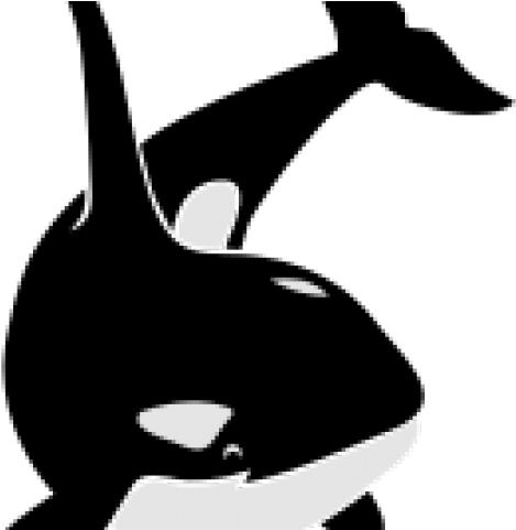 Killer Whale Png Transparent Images - Orca Killer Whale Schwertwal Wal Scu Throw Blanket (640x480), Png Download