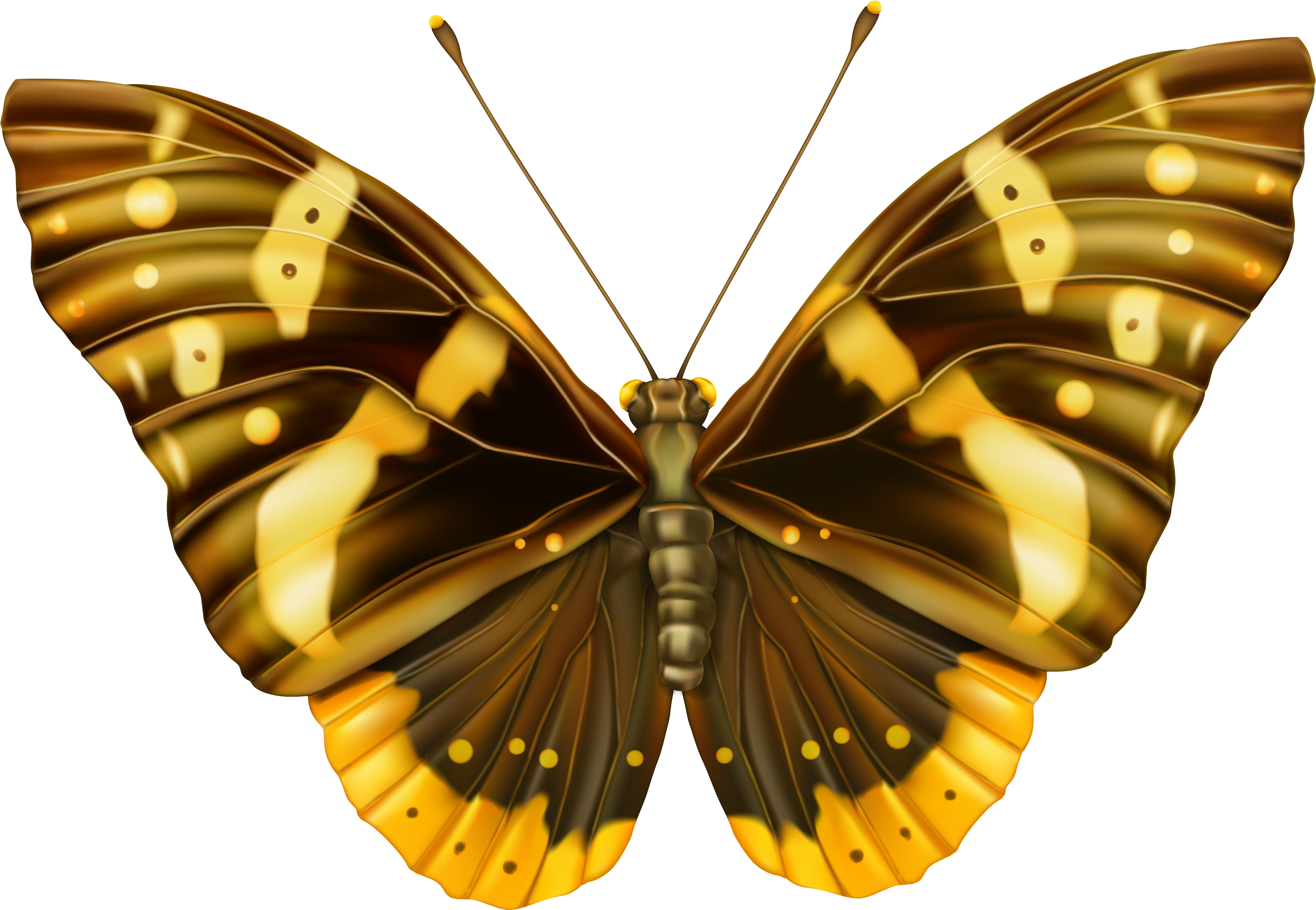 And Yellow Png Image Gallery Yopriceville View - Butterfly Clipart Images Png (4000x2768), Png Download