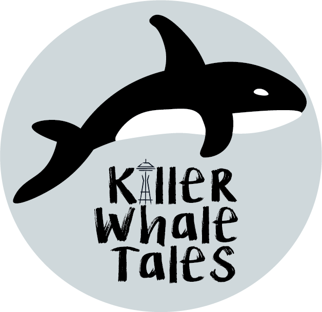 After - Killer Whale (628x609), Png Download
