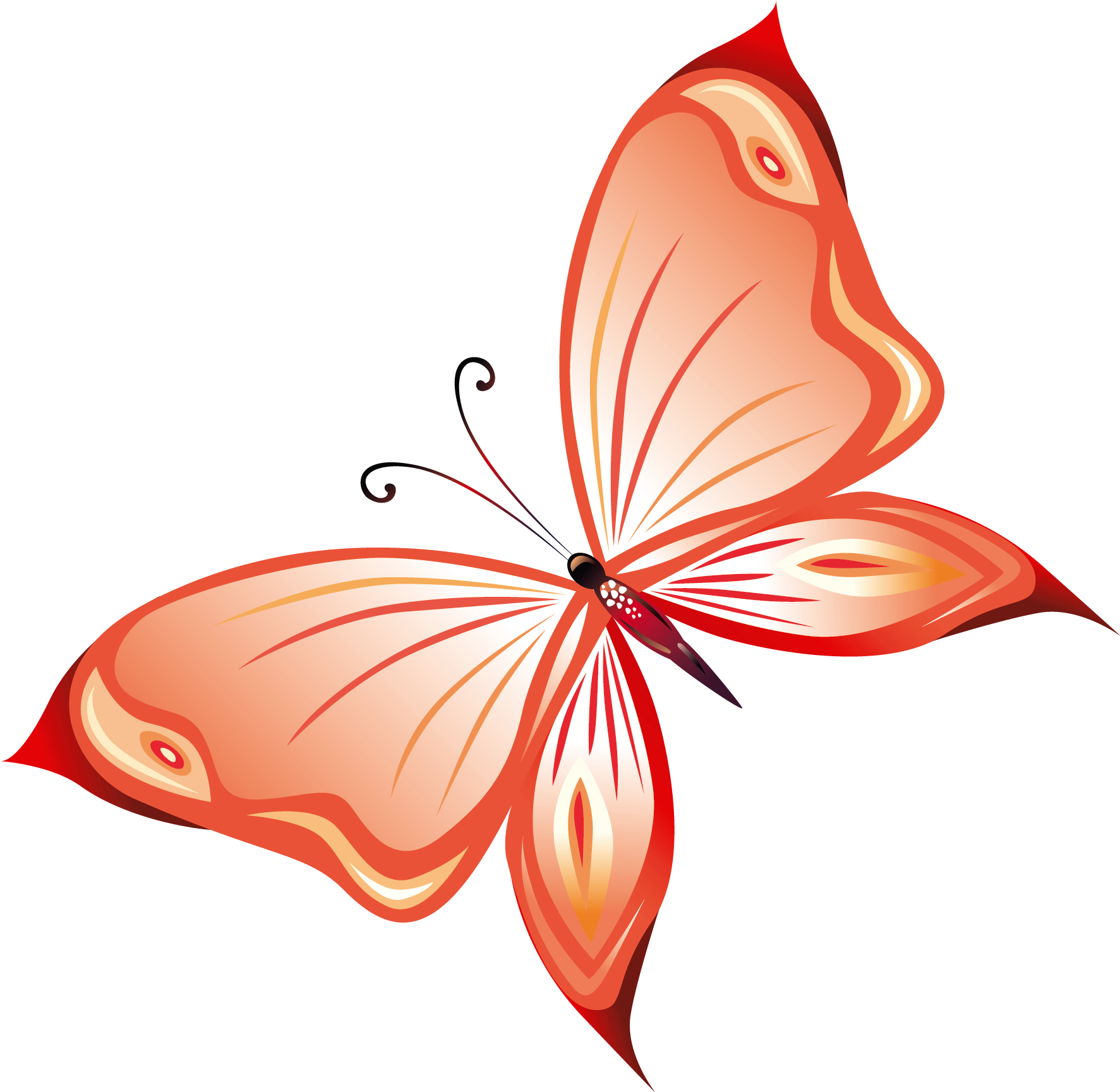 Red Butterfly Png (1864x1878), Png Download