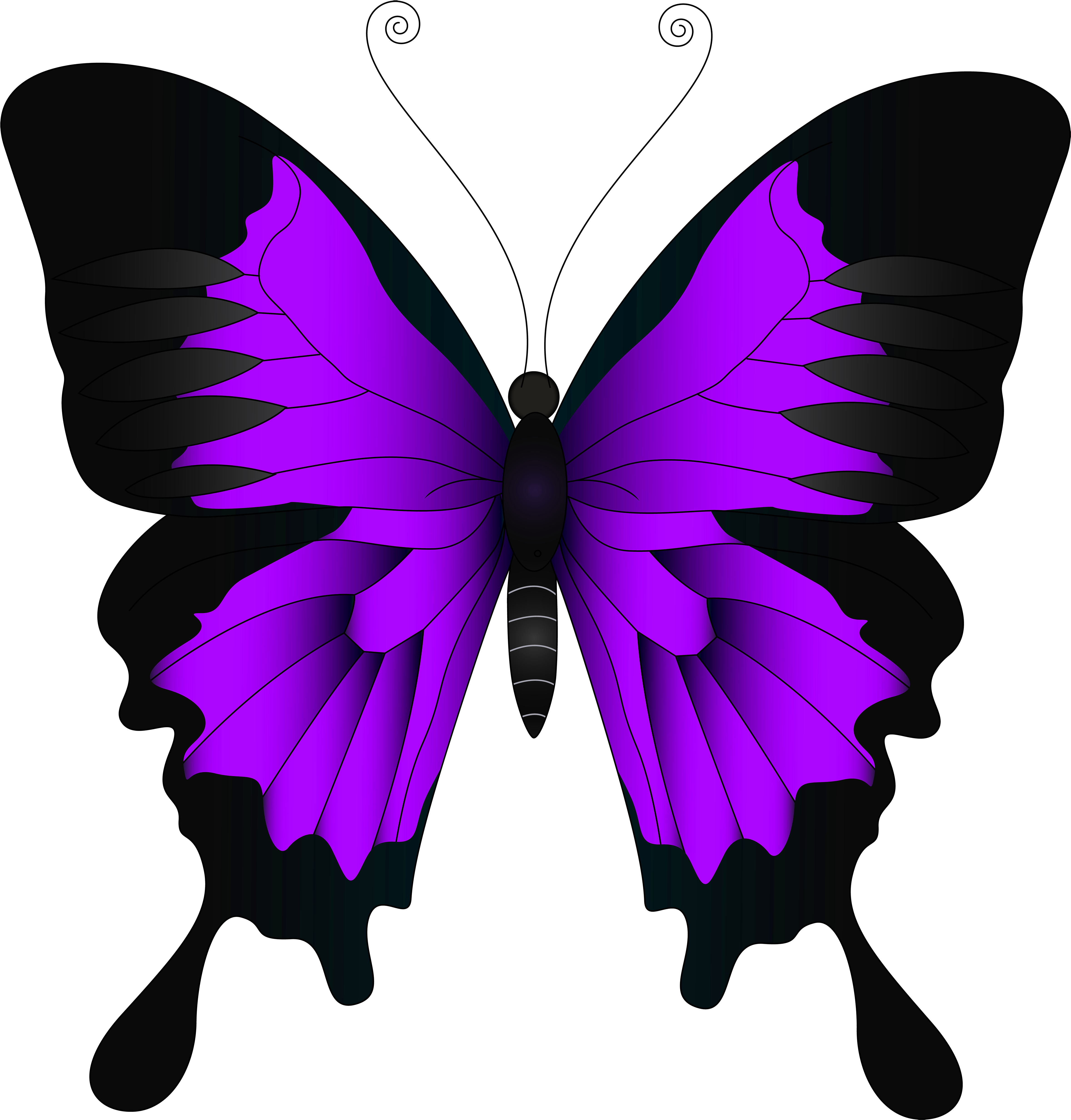 Purple Butterfly Png - Pink And Purple Butterfly (4783x5000), Png Download
