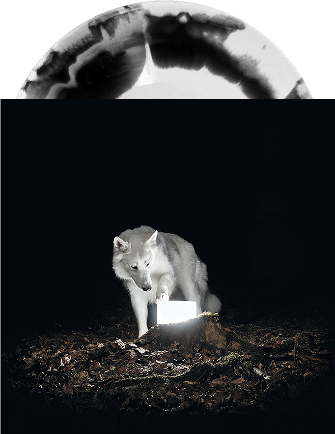 Surveillance - Vanishing Life - Surveillance [cd] (700x1000), Png Download