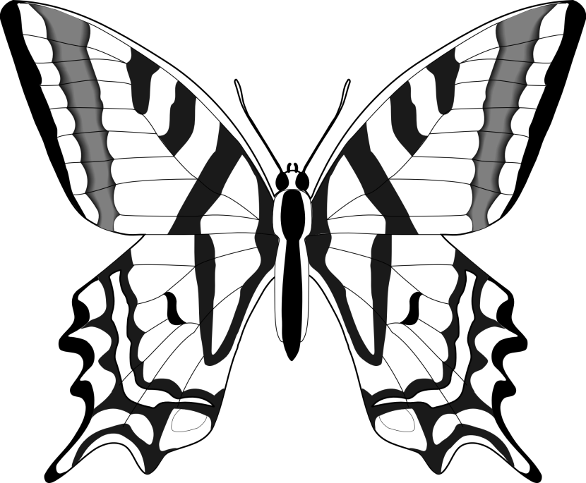 Butterfly Clipart - Clipart Butterfly Images Black And White (830x685), Png Download