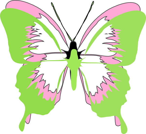 How To Set Use Courtney Butterfly Clipart (600x552), Png Download