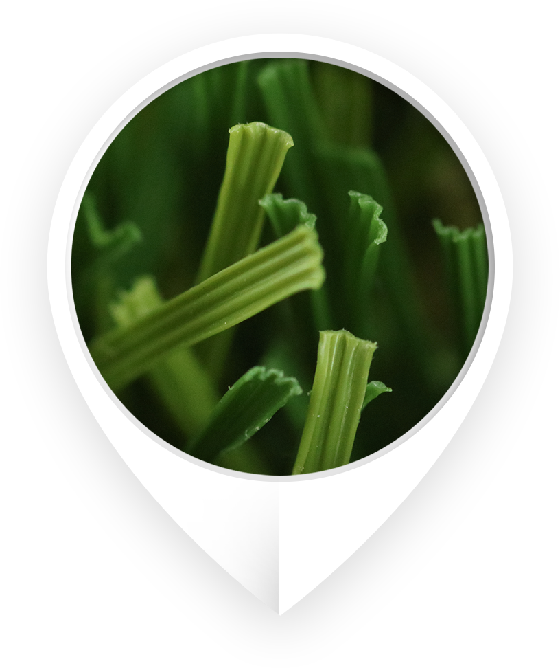 Know The Difference - Grass (816x972), Png Download
