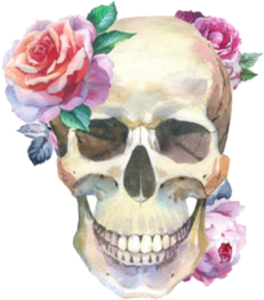 骷髏 水彩 (491x480), Png Download