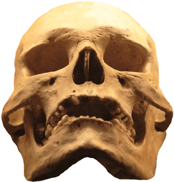 Cool Skull Clip Art - Evil Skull Png (391x413), Png Download