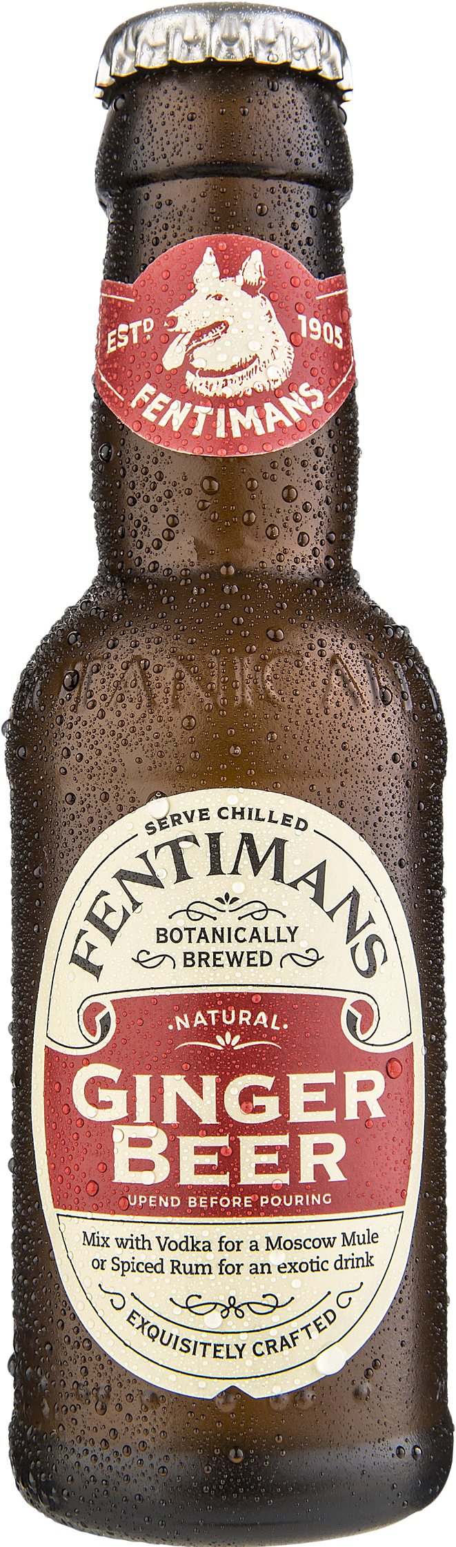 Fentimans Ginger Beer 125ml (752x2240), Png Download