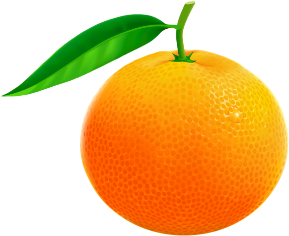 Orange Png Vector Clipart Image - Orange Fruit Clipart Png (600x503), Png Download