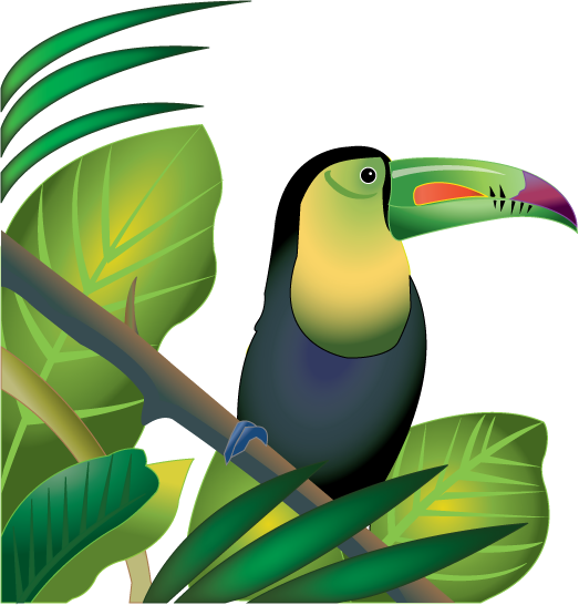 Free Jungle Animals Clipart - Tropical Rainforest Clipart (523x546), Png Download