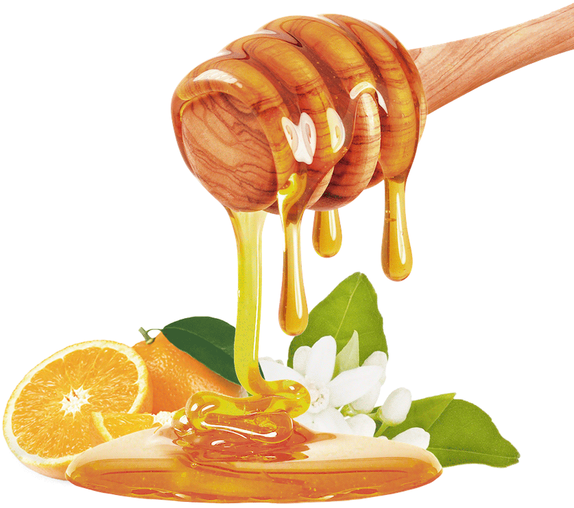 Thus, It Can Be Used To Elaborate Fruit Products, Yogurts, - Honey Dripping Down (900x885), Png Download