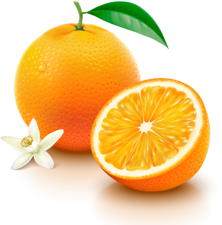 Navel Oranges - Vitamina C Endovenosa (500x500), Png Download