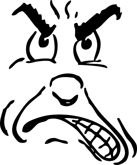 Mad, Angry, Face, Person, Human, Upset, Surprised - Anger Clip Art (529x640), Png Download