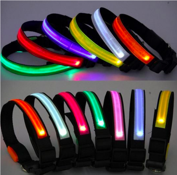 Led Dog Collar With 3 Light Settings - Collar (800x600), Png Download