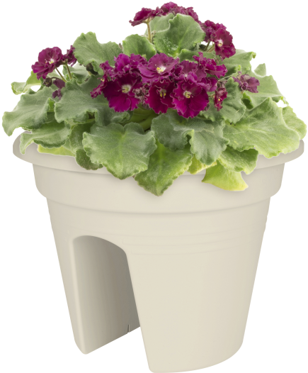 Home > Collection > Green Basics Flower Bridge - Flowerpot (750x750), Png Download