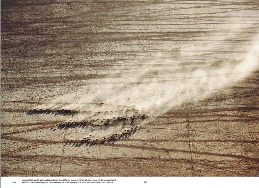 12/15 - Shadow (1280x640), Png Download