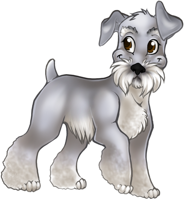 Femaleprev1 - Standard Schnauzer (700x717), Png Download