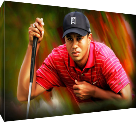 Details About Golf Icon Tiger Woods Eye Of The Tiger - Pitch And Putt (600x600), Png Download