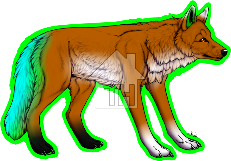 Details - Mackenzie River Husky (798x570), Png Download