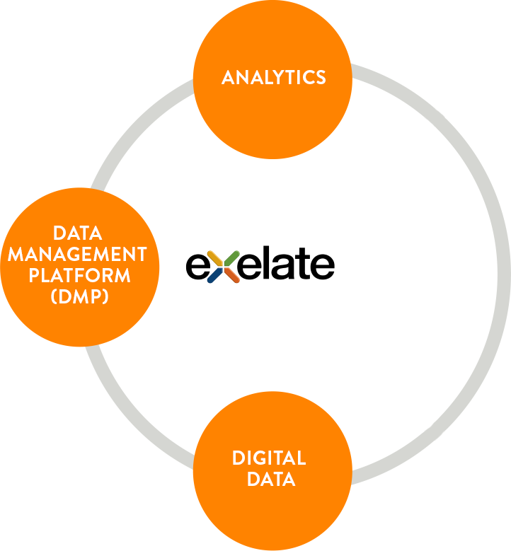 Integrating Nielsen Solutions Into A Cohesive Backbone - Circle (722x779), Png Download