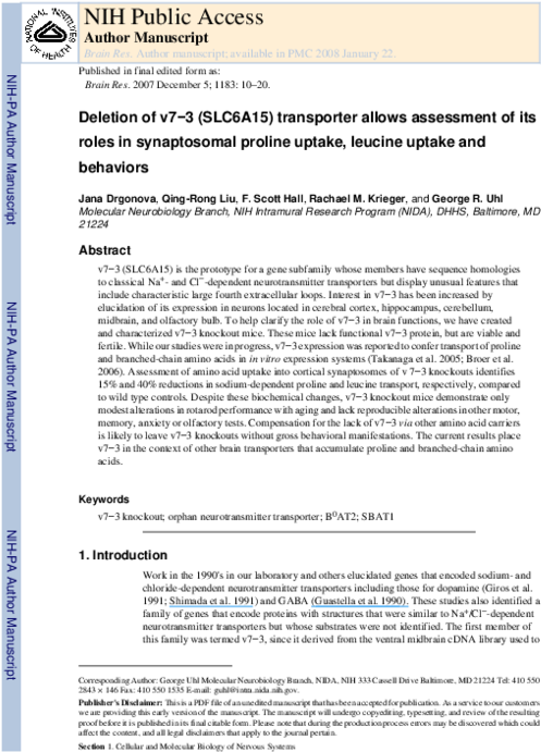 Pdf - Folio Four From Burchard Of Sion's De Locis Ac Mirabilibus (600x776), Png Download