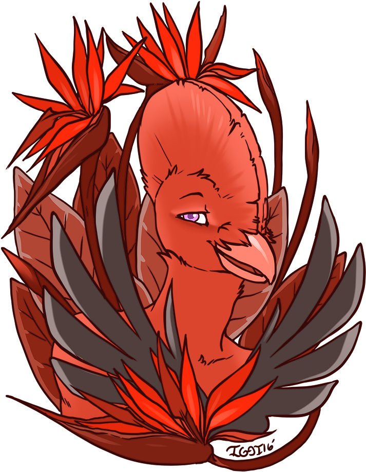 Bird Of Paradise - Illustration (773x1000), Png Download