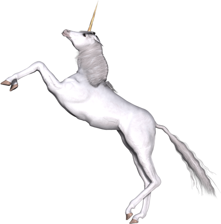 Full White Unicorn Prancing - Unicorn (800x798), Png Download