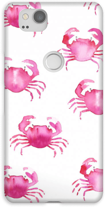 Crabs Case Pixel - Freshwater Crab (484x800), Png Download