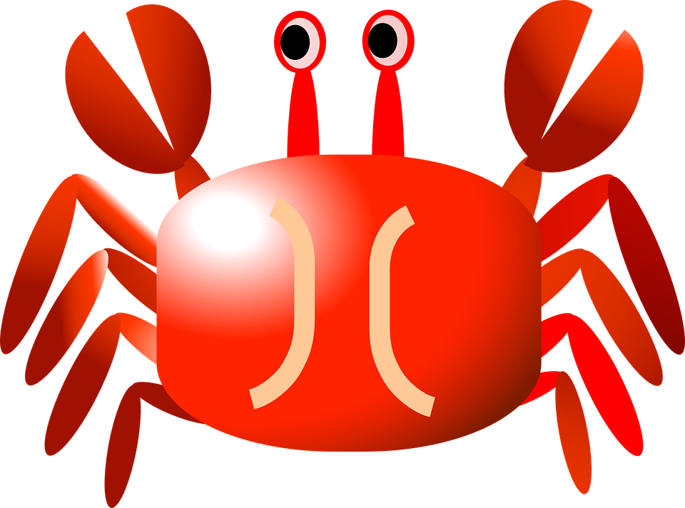 Crawfish Crayfish Crab - Crab Cartoon (960x712), Png Download
