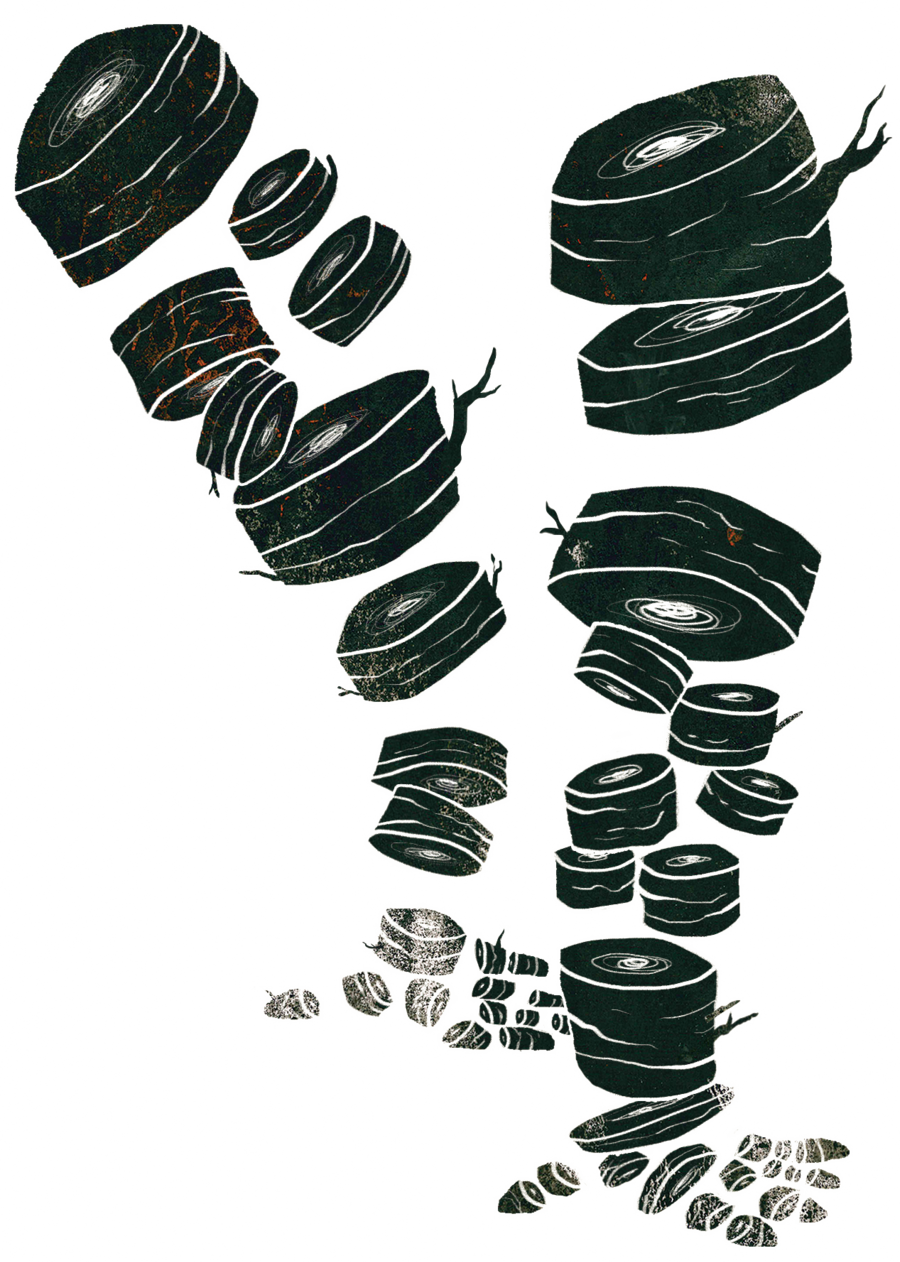 Limbs - Lens Cap (900x1262), Png Download