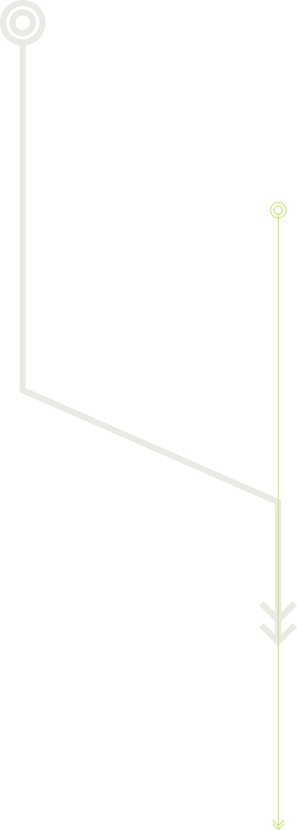 A Seed Is Planted - Whiteboard (968x2701), Png Download