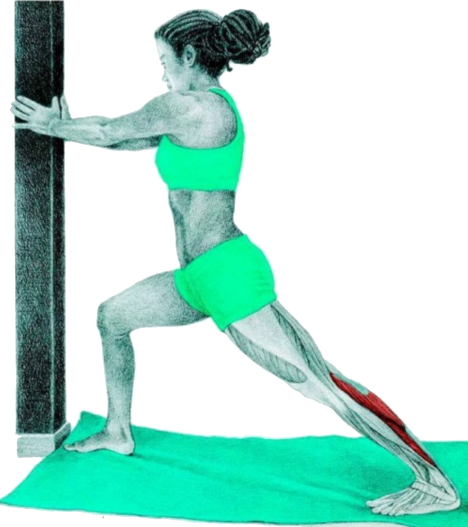 24 Myswimpro Stretch Standing Calf Stretch At The - Estiramiento De Triceps Sural (910x1024), Png Download