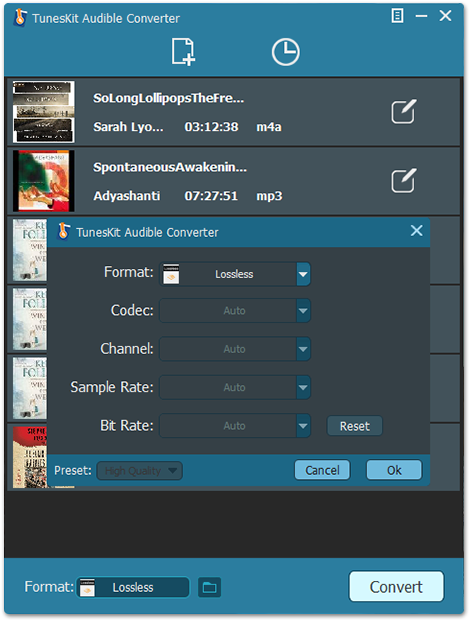2set Output Format For Chromecast Audio - Tuneskit Audible Converter (489x654), Png Download